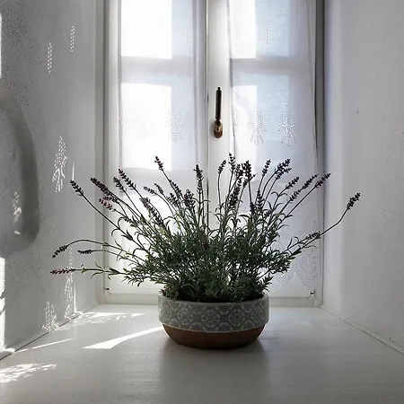 奥罗洛格普洛斯庄园豪华酒店