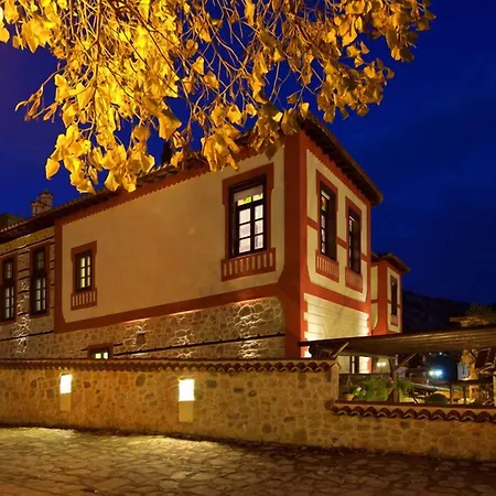 奥罗洛格普洛斯庄园豪华酒店 酒店 4*