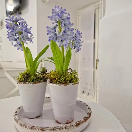 奥罗洛格普洛斯庄园豪华酒店